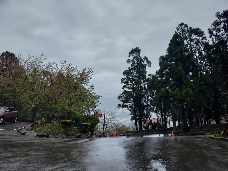 南投清境┃一日行程 下大雨跳過清境農場直接去武嶺 狂風暴雨只有5度很冷 小瑞士花園吃拉麵 山櫻開的美 - 第6張圖 南投清境┃一日行程 下大雨跳過清境農場直接去武嶺 狂風暴雨只有5度很冷 小瑞士花園吃拉麵 山櫻開的美