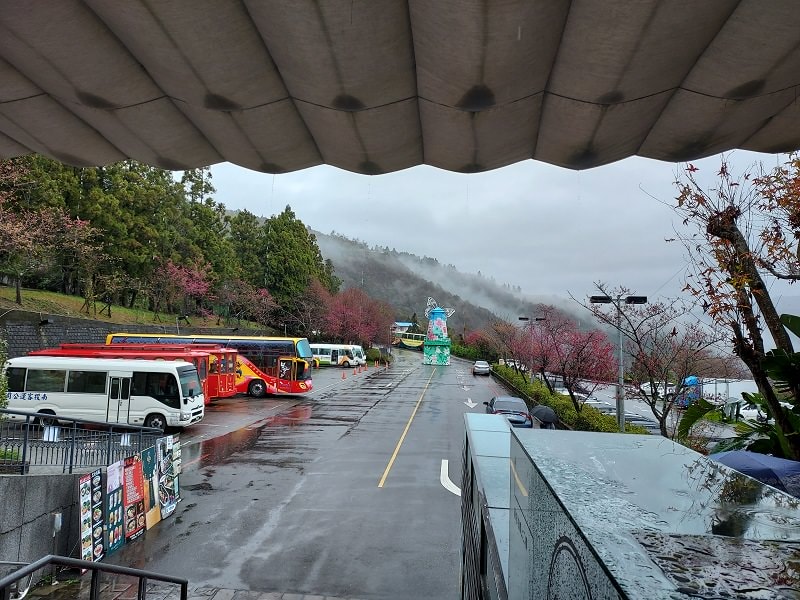 南投清境┃一日行程 下大雨跳過清境農場直接去武嶺 狂風暴雨只有5度很冷 小瑞士花園吃拉麵 山櫻開的美 - 第13張圖 南投清境┃一日行程 下大雨跳過清境農場直接去武嶺 狂風暴雨只有5度很冷 小瑞士花園吃拉麵 山櫻開的美