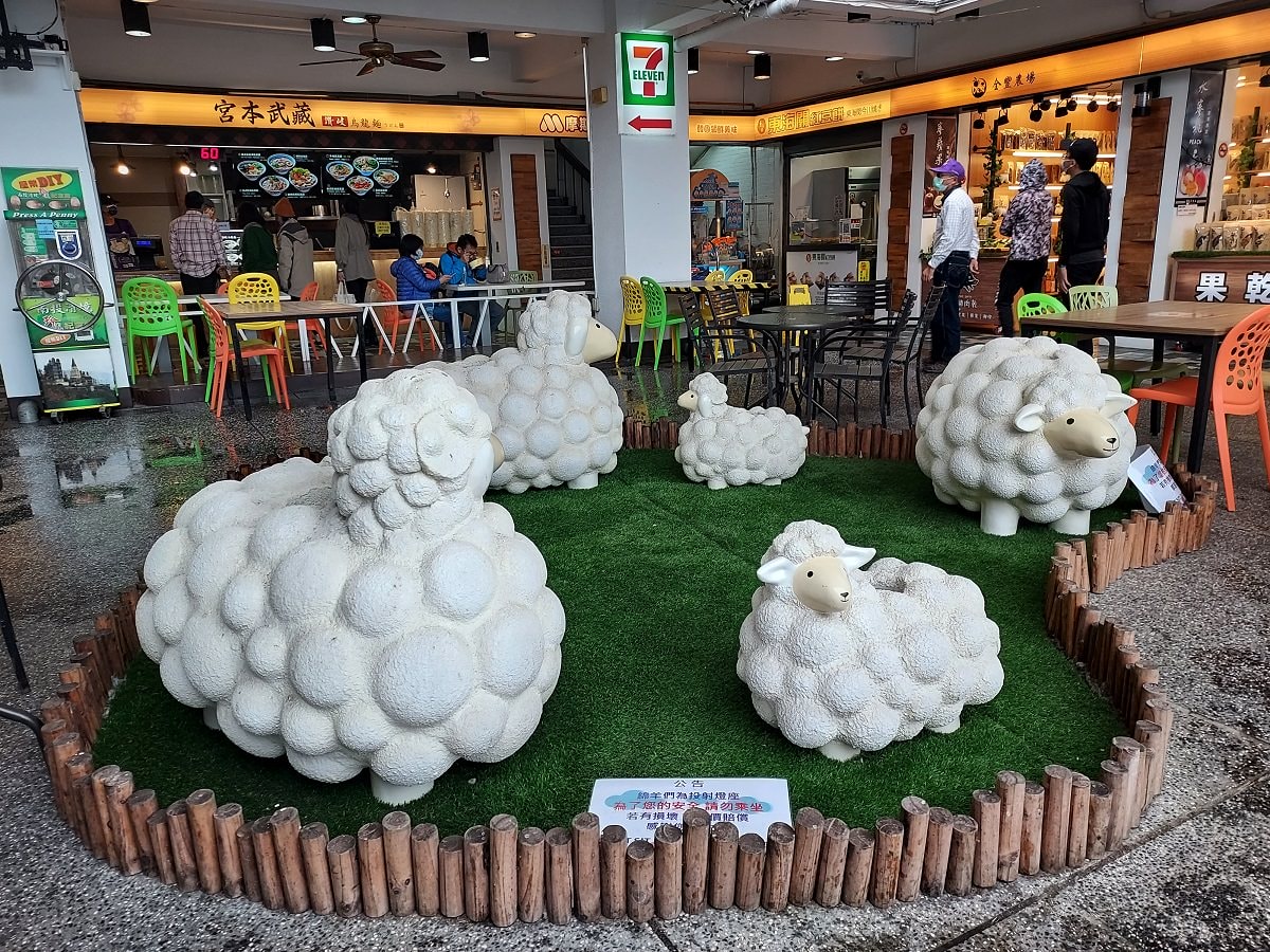 南投清境┃一日行程 下大雨跳過清境農場直接去武嶺 狂風暴雨只有5度很冷 小瑞士花園吃拉麵 山櫻開的美 - 第14張圖 南投清境┃一日行程 下大雨跳過清境農場直接去武嶺 狂風暴雨只有5度很冷 小瑞士花園吃拉麵 山櫻開的美