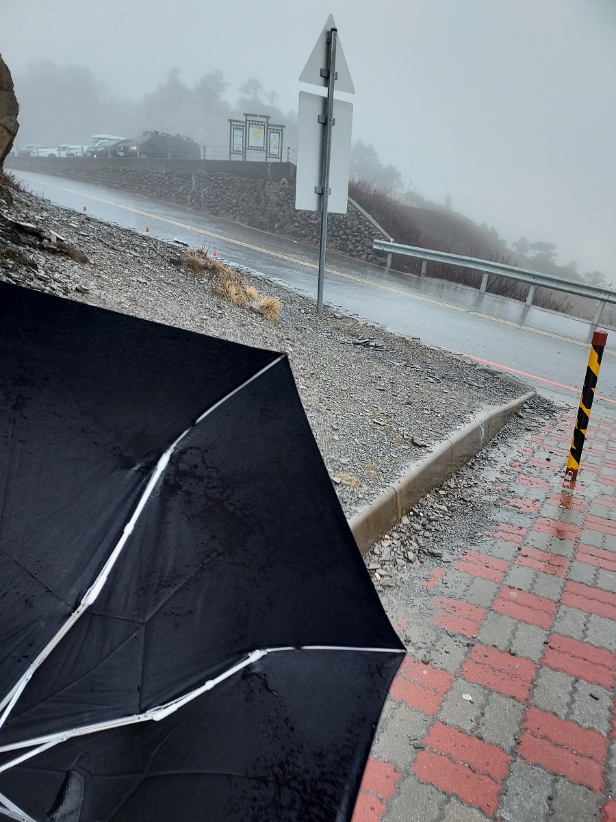 南投清境┃一日行程 下大雨跳過清境農場直接去武嶺 狂風暴雨只有5度很冷 小瑞士花園吃拉麵 山櫻開的美 - 第41張圖 南投清境┃一日行程 下大雨跳過清境農場直接去武嶺 狂風暴雨只有5度很冷 小瑞士花園吃拉麵 山櫻開的美