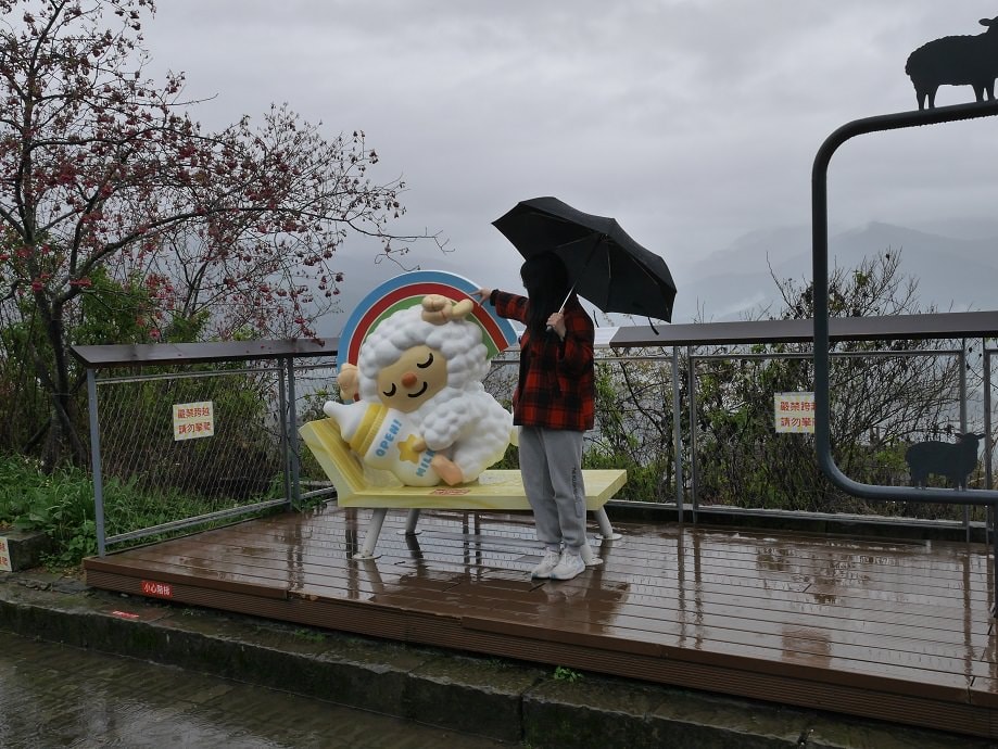 南投清境┃一日行程 下大雨跳過清境農場直接去武嶺 狂風暴雨只有5度很冷 小瑞士花園吃拉麵 山櫻開的美 - 第9張圖 南投清境┃一日行程 下大雨跳過清境農場直接去武嶺 狂風暴雨只有5度很冷 小瑞士花園吃拉麵 山櫻開的美
