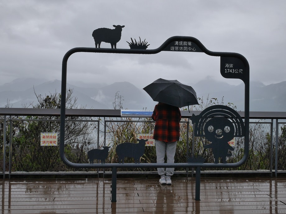 南投清境┃一日行程 下大雨跳過清境農場直接去武嶺 狂風暴雨只有5度很冷 小瑞士花園吃拉麵 山櫻開的美 - 第10張圖 南投清境┃一日行程 下大雨跳過清境農場直接去武嶺 狂風暴雨只有5度很冷 小瑞士花園吃拉麵 山櫻開的美