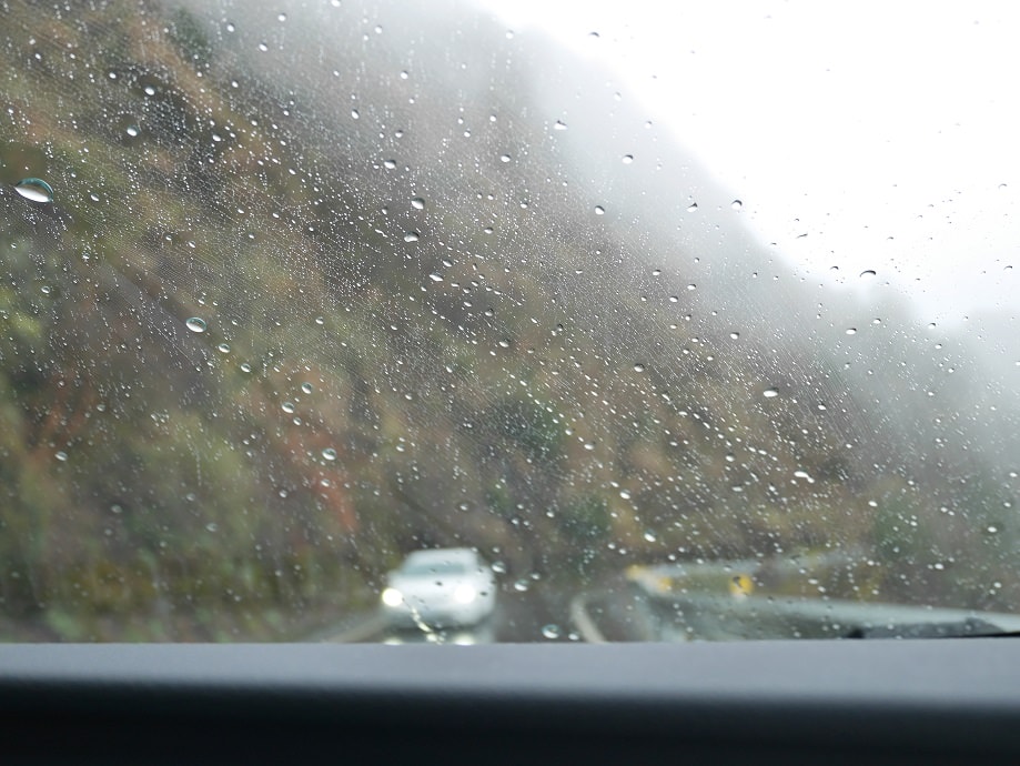 南投清境┃一日行程 下大雨跳過清境農場直接去武嶺 狂風暴雨只有5度很冷 小瑞士花園吃拉麵 山櫻開的美 - 第26張圖 南投清境┃一日行程 下大雨跳過清境農場直接去武嶺 狂風暴雨只有5度很冷 小瑞士花園吃拉麵 山櫻開的美
