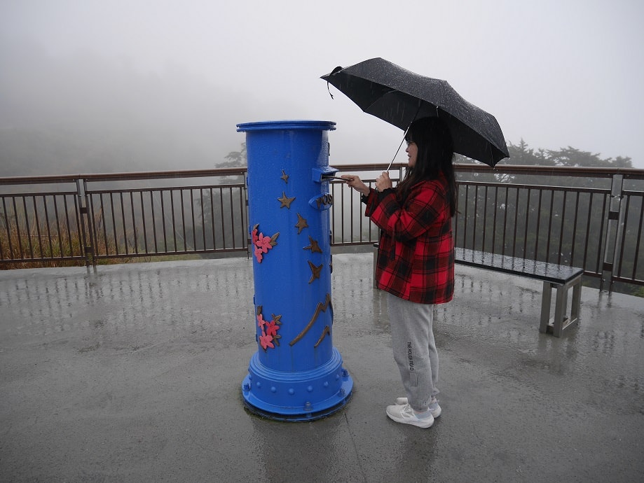 南投清境┃一日行程 下大雨跳過清境農場直接去武嶺 狂風暴雨只有5度很冷 小瑞士花園吃拉麵 山櫻開的美 - 第30張圖 南投清境┃一日行程 下大雨跳過清境農場直接去武嶺 狂風暴雨只有5度很冷 小瑞士花園吃拉麵 山櫻開的美