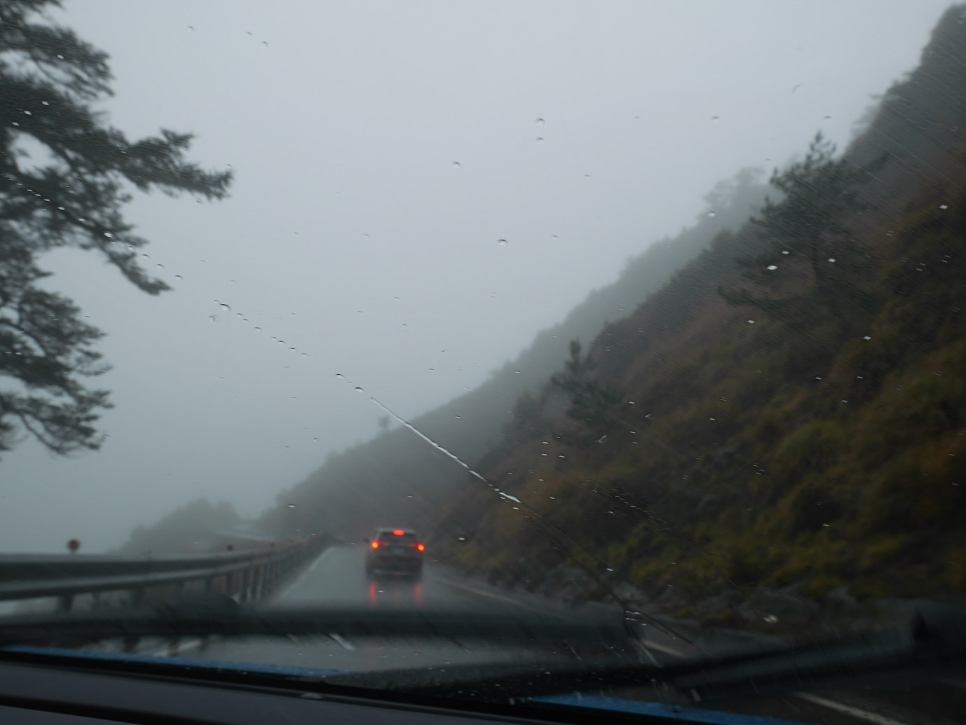 南投清境┃一日行程 下大雨跳過清境農場直接去武嶺 狂風暴雨只有5度很冷 小瑞士花園吃拉麵 山櫻開的美 - 第44張圖 南投清境┃一日行程 下大雨跳過清境農場直接去武嶺 狂風暴雨只有5度很冷 小瑞士花園吃拉麵 山櫻開的美