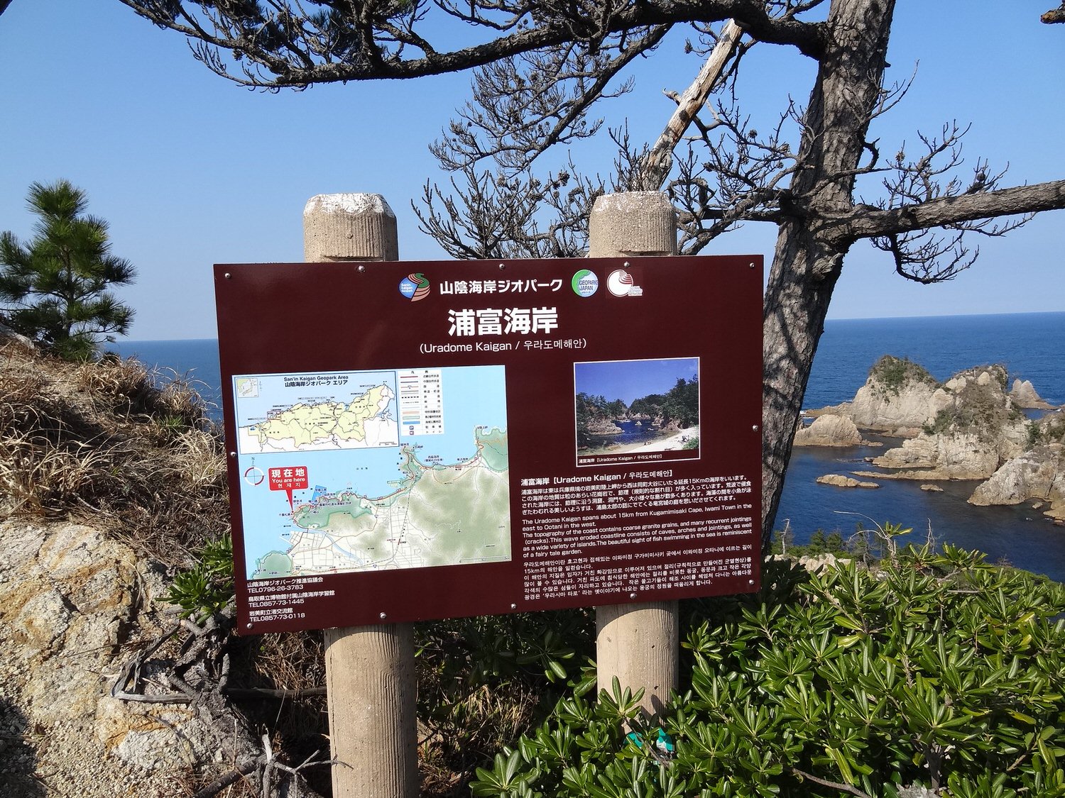 潔西的日本出差故事(第一次出差去鳥取下篇) 猛者蝦 和牛涮涮鍋 白兔神社 浦富海岸 拍不完的照片