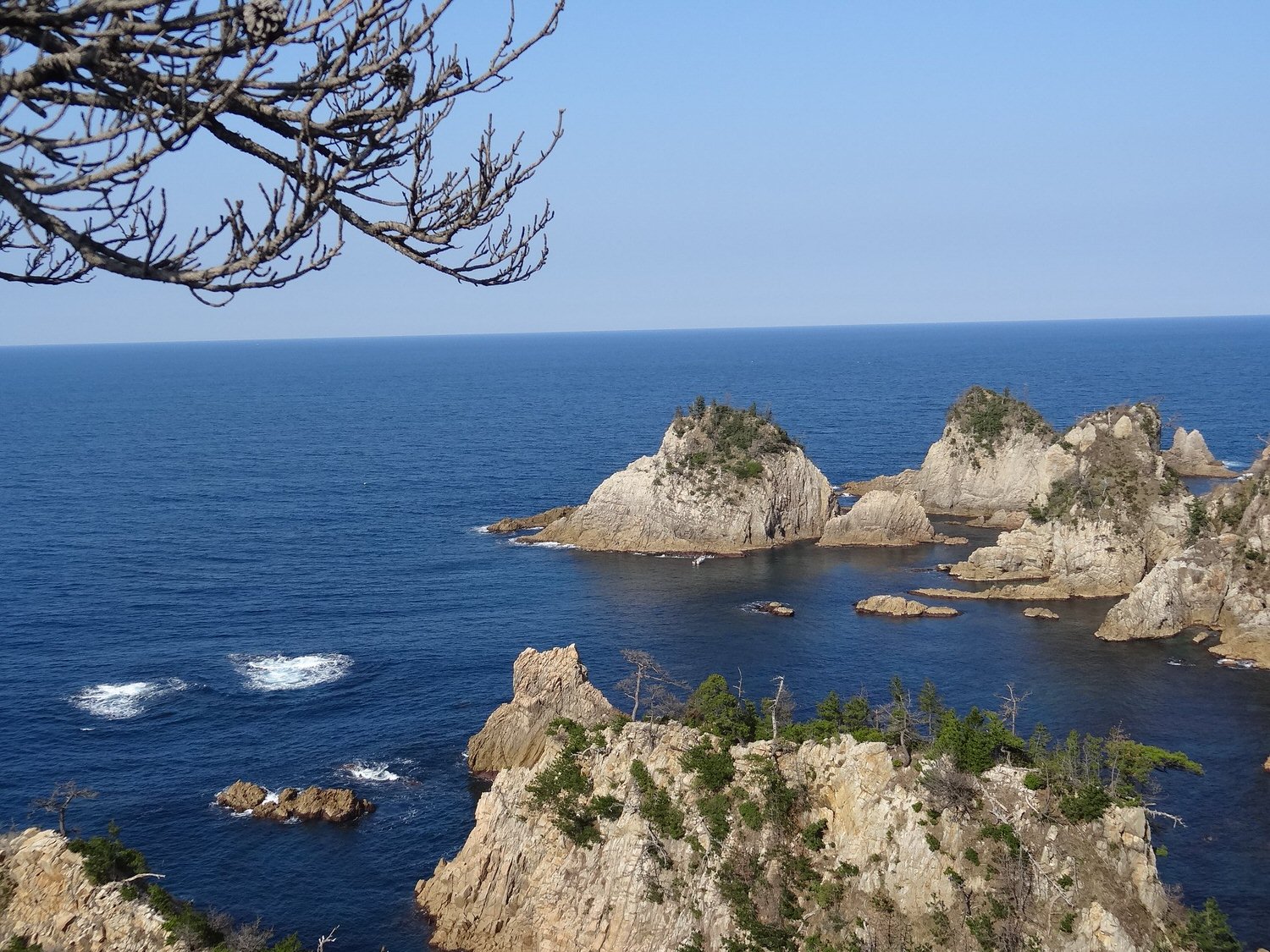 潔西的日本出差故事(第一次出差去鳥取下篇) 猛者蝦 和牛涮涮鍋 白兔神社 浦富海岸 拍不完的照片