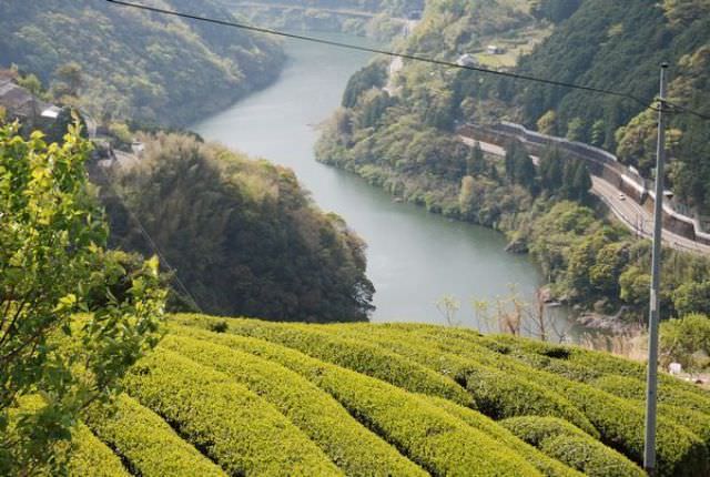 日本四國┃高知縣 一訪藍透美清流「仁淀川」 周邊魅力景點(下) - 第4張圖 日本四國┃高知縣 一訪藍透美清流「仁淀川」 周邊魅力景點(下)