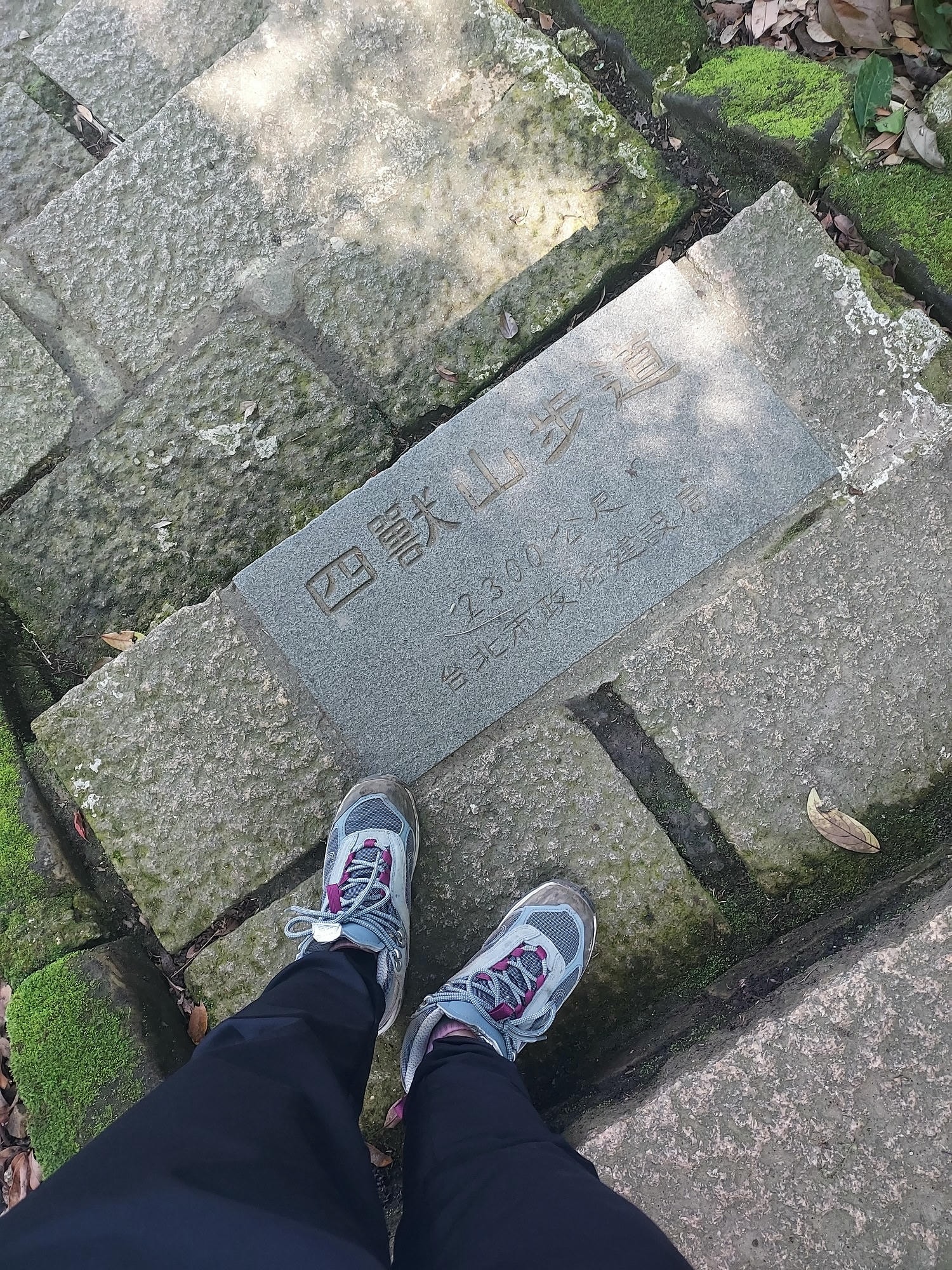 台北爬山┃一個人走「象山步道」圖多 拇指山山頂101風景太美 一個早上走完 六巨石 一個人走步道