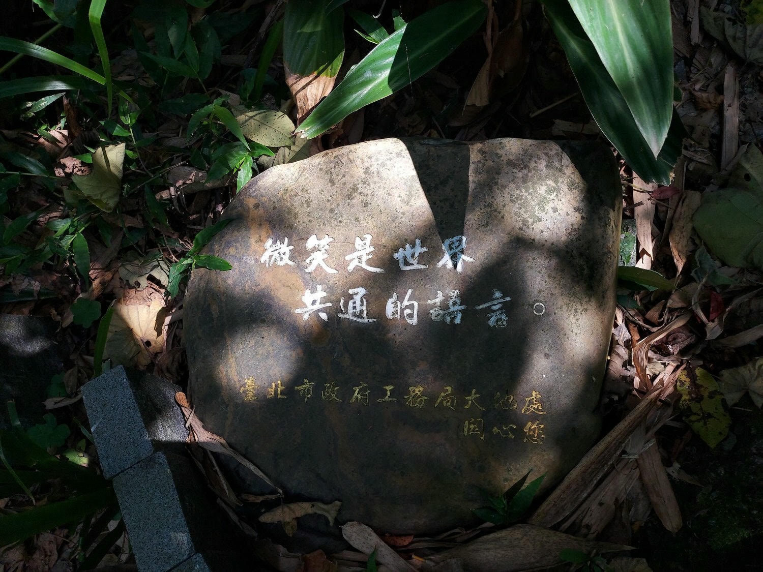 台北爬山┃一個人走「象山步道」圖多 拇指山山頂101風景太美 一個早上走完 六巨石 一個人走步道