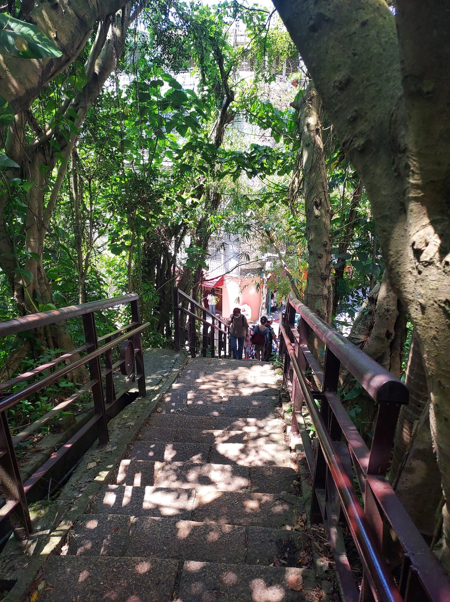 台北爬山┃一個人走「象山步道」圖多 拇指山山頂101風景太美 一個早上走完 六巨石 一個人走步道