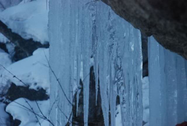 日本四國┃高知縣 一訪藍透美清流「仁淀川」 周邊魅力景點(下) - 第32張圖 日本四國┃高知縣 一訪藍透美清流「仁淀川」 周邊魅力景點(下)