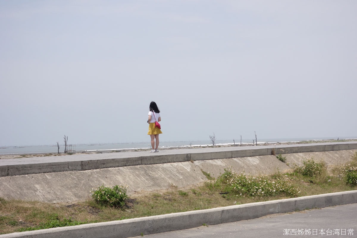 嘉義東石┃一日行程這樣排 走進消失的情人節拍攝地「白水湖壽島」 海潮淹沒拍出愁悵感 東石漁人碼頭吃蚵包
