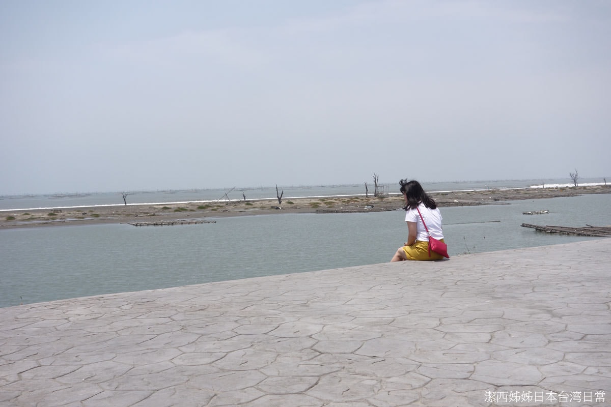 嘉義東石┃一日行程這樣排 走進消失的情人節拍攝地「白水湖壽島」 海潮淹沒拍出愁悵感 東石漁人碼頭吃蚵包
