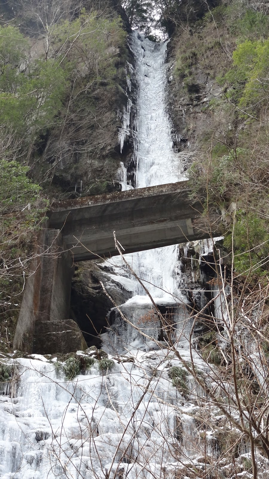 日本四國┃高知縣 一訪藍透美清流「仁淀川」 周邊魅力景點(下) - 第22張圖 日本四國┃高知縣 一訪藍透美清流「仁淀川」 周邊魅力景點(下)