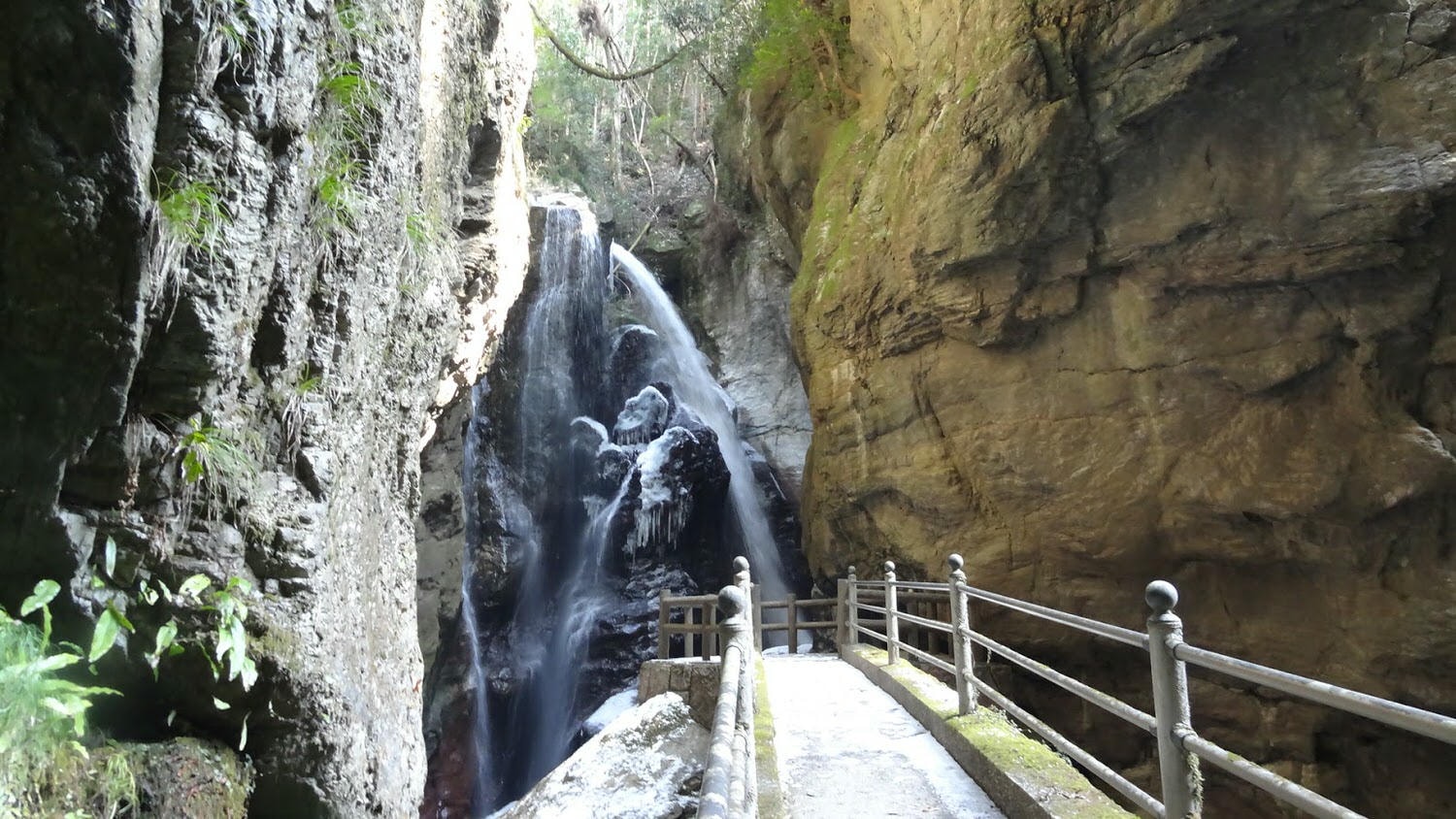 日本四國┃高知縣 一訪藍透美清流「仁淀川」 周邊魅力景點(下) - 第28張圖 日本四國┃高知縣 一訪藍透美清流「仁淀川」 周邊魅力景點(下)