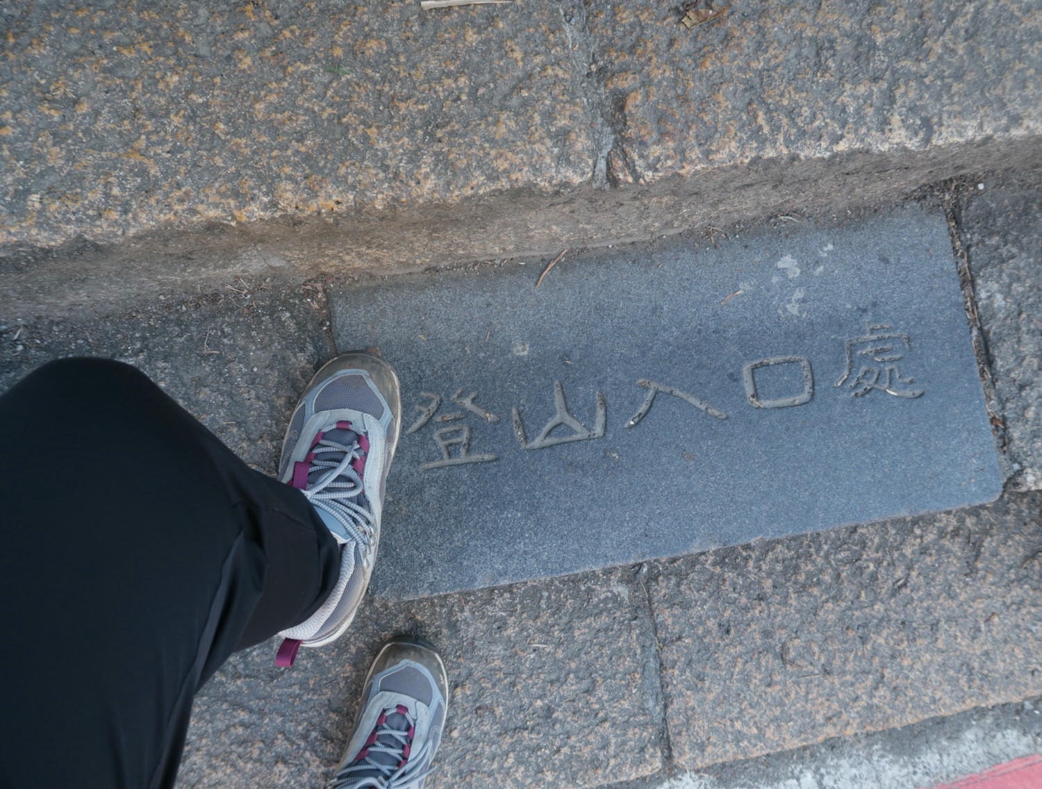 台北爬山┃一個人走「象山步道」圖多 拇指山山頂101風景太美 一個早上走完 六巨石 一個人走步道