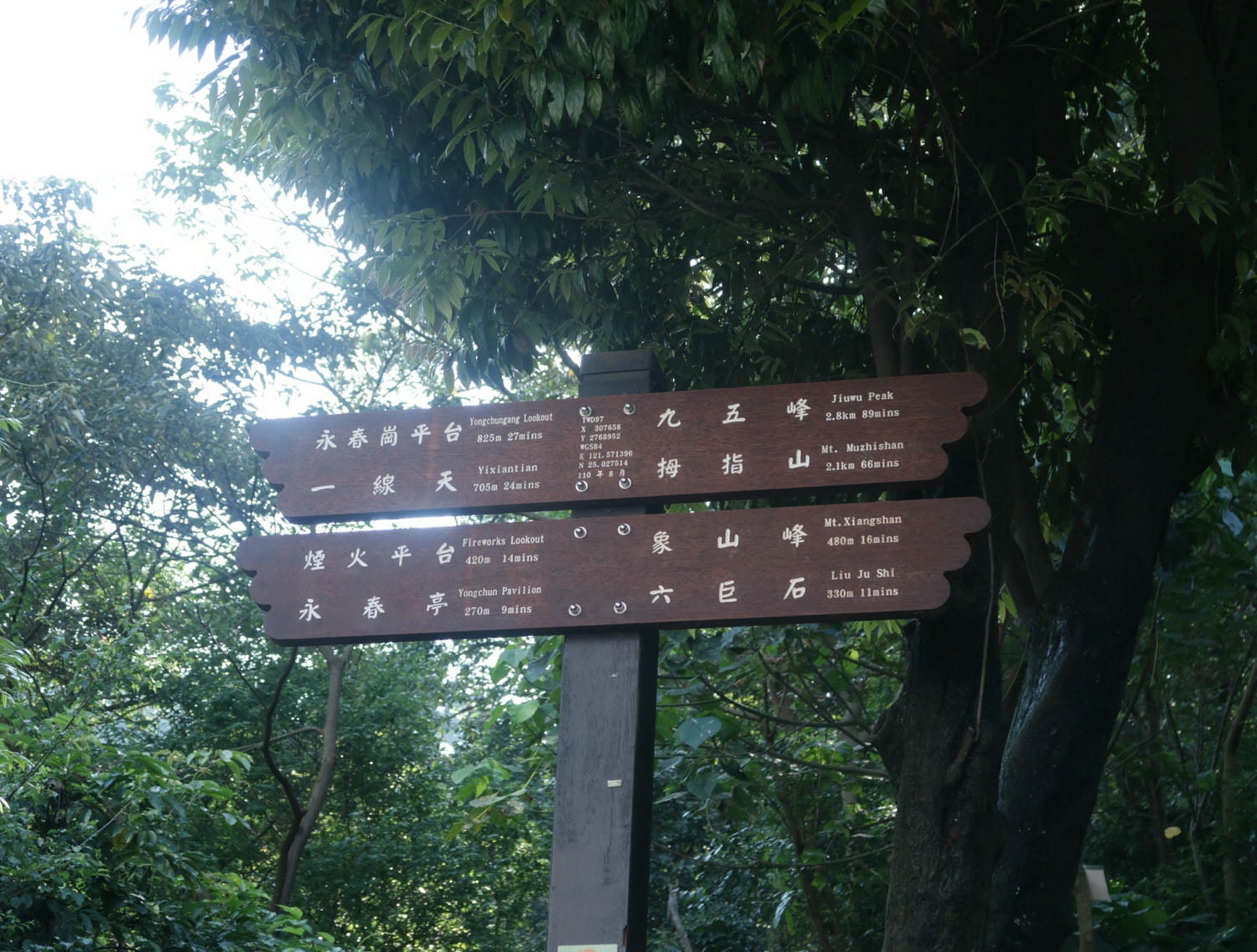 台北爬山┃一個人走「象山步道」圖多 拇指山山頂101風景太美 一個早上走完 六巨石 一個人走步道