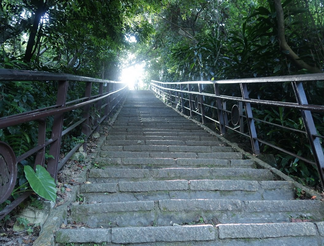 台北爬山┃一個人走「象山步道」圖多 拇指山山頂101風景太美 一個早上走完 六巨石 一個人走步道