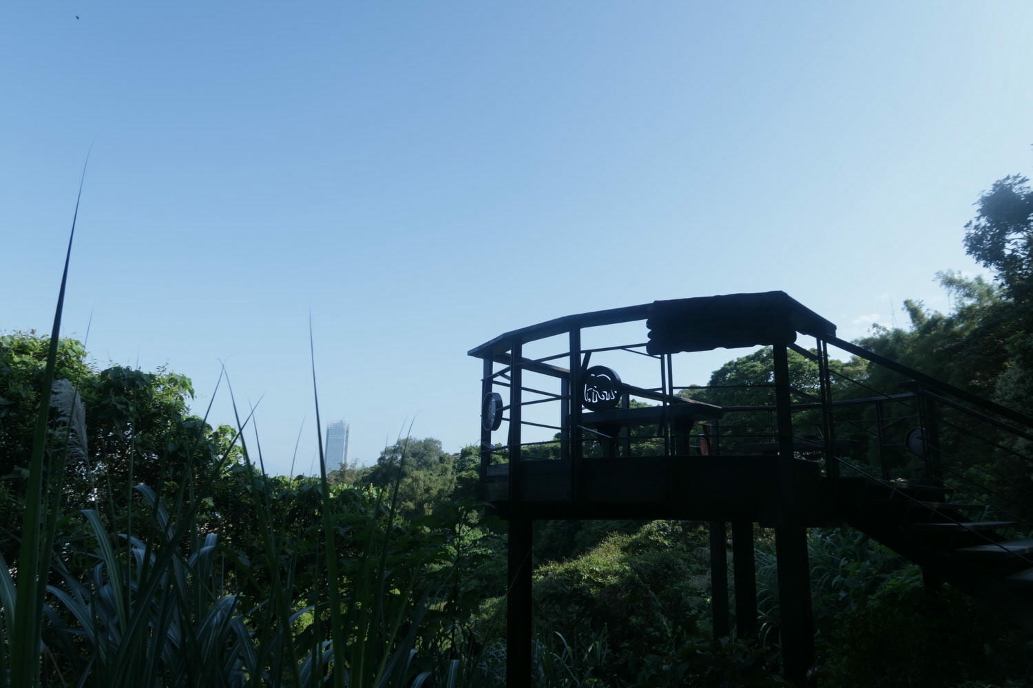 台北爬山┃一個人走「象山步道」圖多 拇指山山頂101風景太美 一個早上走完 六巨石 一個人走步道