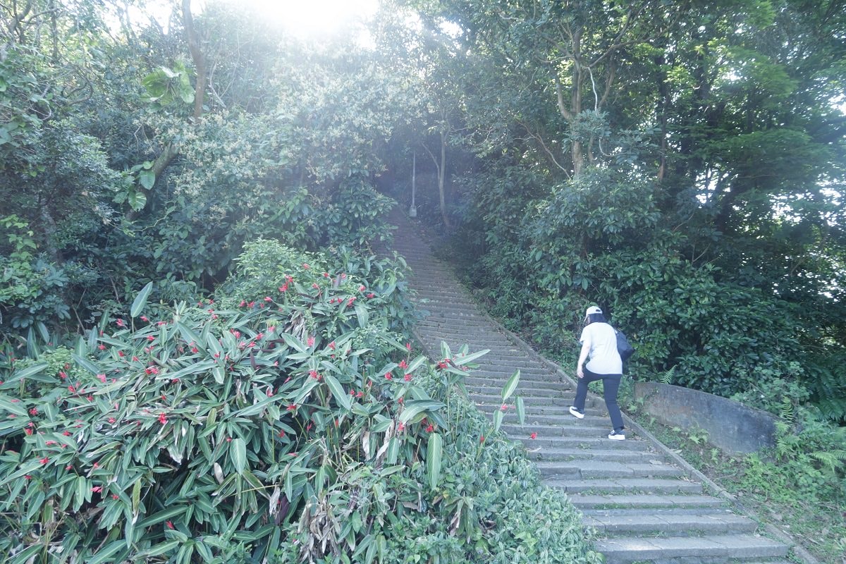 台北爬山┃一個人走「象山步道」圖多 拇指山山頂101風景太美 一個早上走完 六巨石 一個人走步道