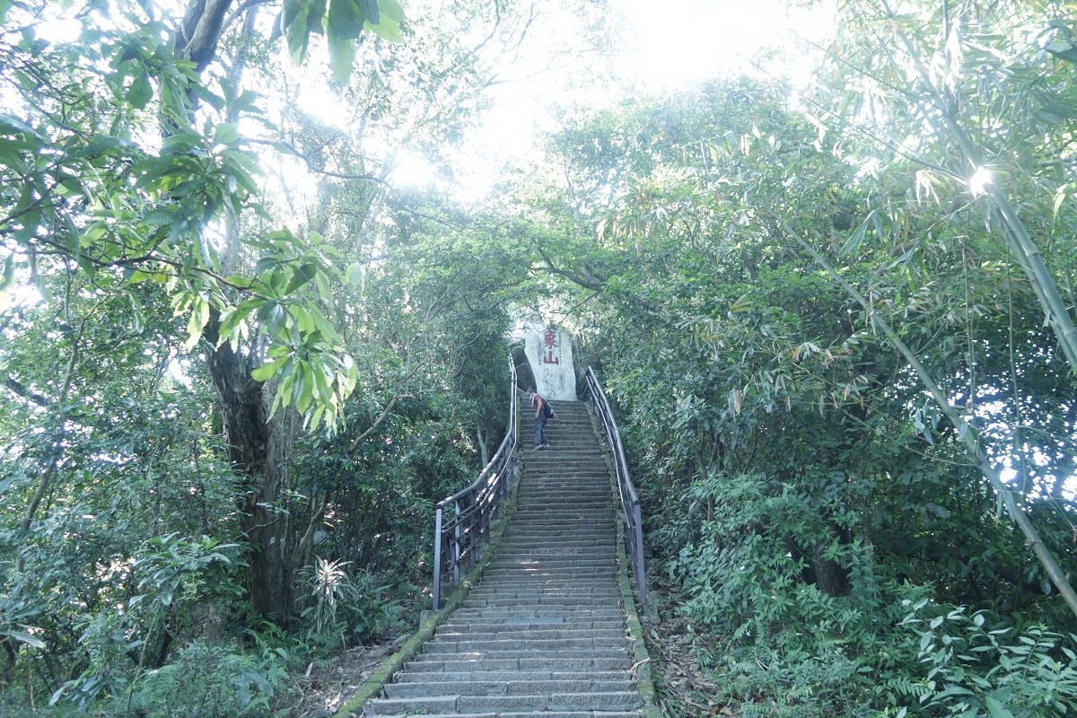 台北爬山┃一個人走「象山步道」圖多 拇指山山頂101風景太美 一個早上走完 六巨石 一個人走步道