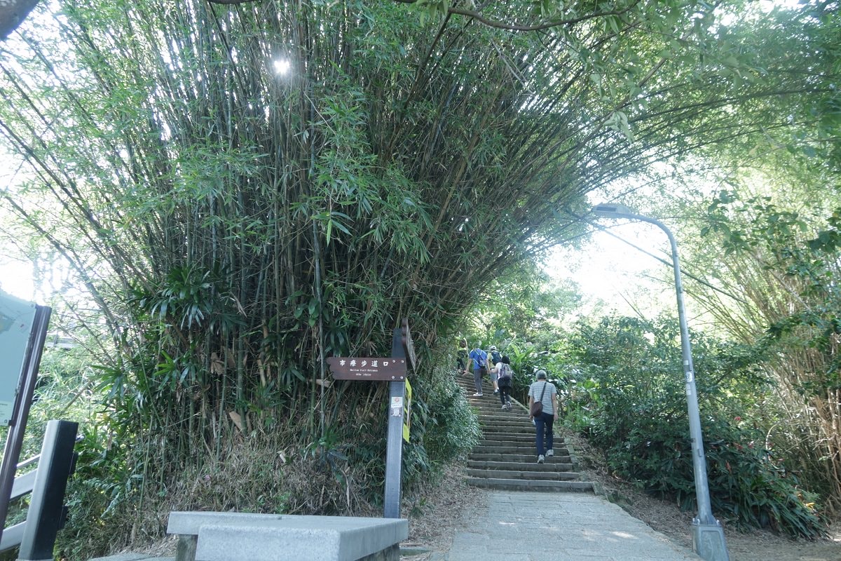台北爬山┃一個人走「象山步道」圖多 拇指山山頂101風景太美 一個早上走完 六巨石 一個人走步道