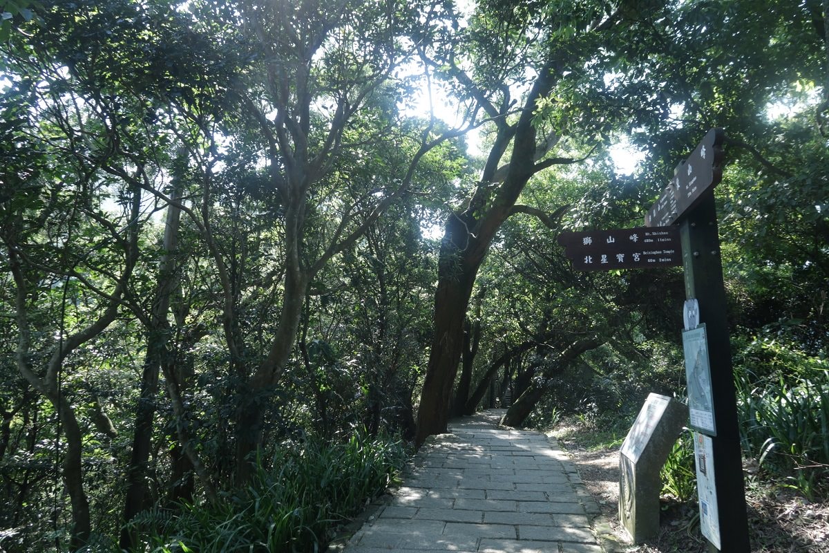 台北爬山┃一個人走「象山步道」圖多 拇指山山頂101風景太美 一個早上走完 六巨石 一個人走步道