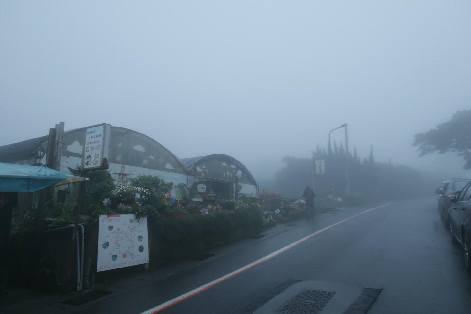(台北賞花)2022春之海芋(瑞美海芋園) 陽明山竹子湖 純白優雅 介紹捷運石牌搭公車 採海芋快來喔!!