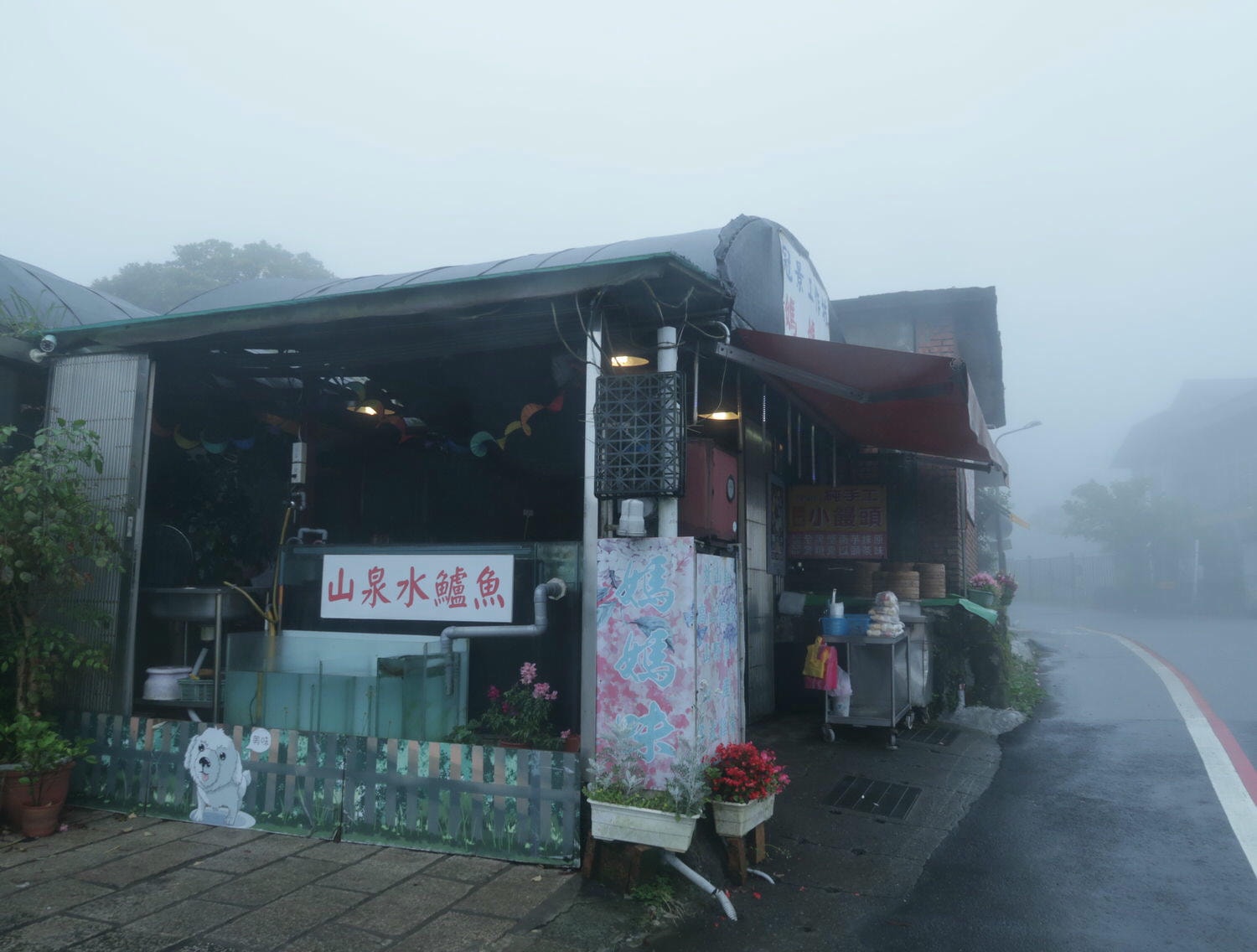 (台北賞花)2022春之海芋(瑞美海芋園) 陽明山竹子湖 純白優雅 介紹捷運石牌搭公車 採海芋快來喔!!