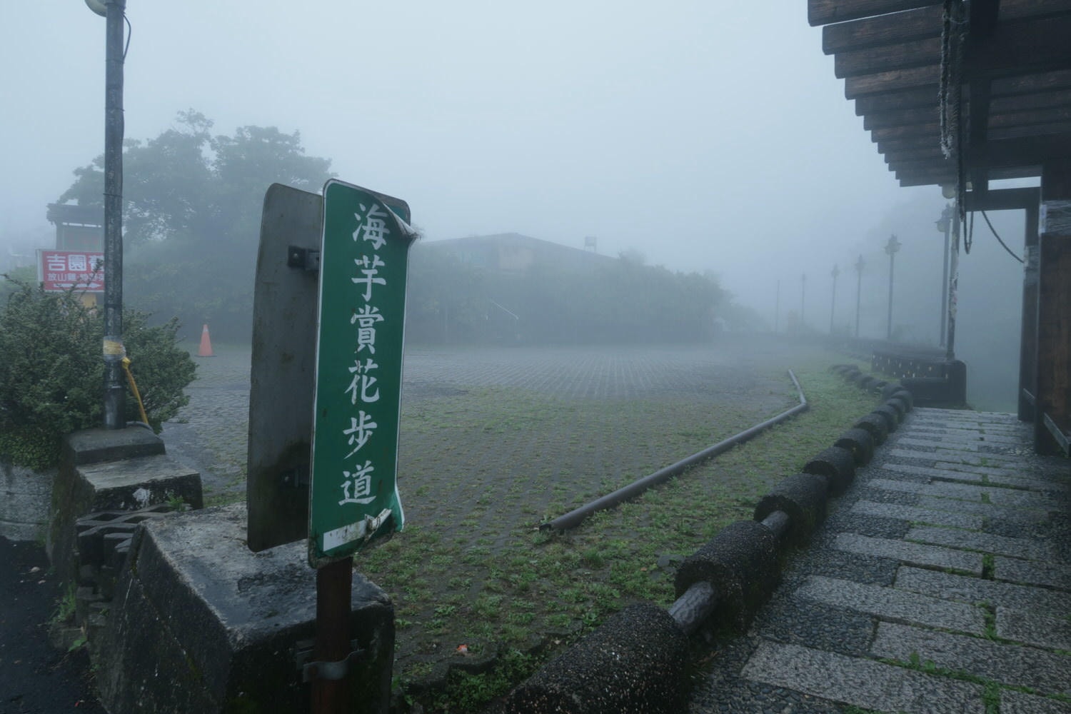 (台北賞花)2022春之海芋(瑞美海芋園) 陽明山竹子湖 純白優雅 介紹捷運石牌搭公車 採海芋快來喔!!