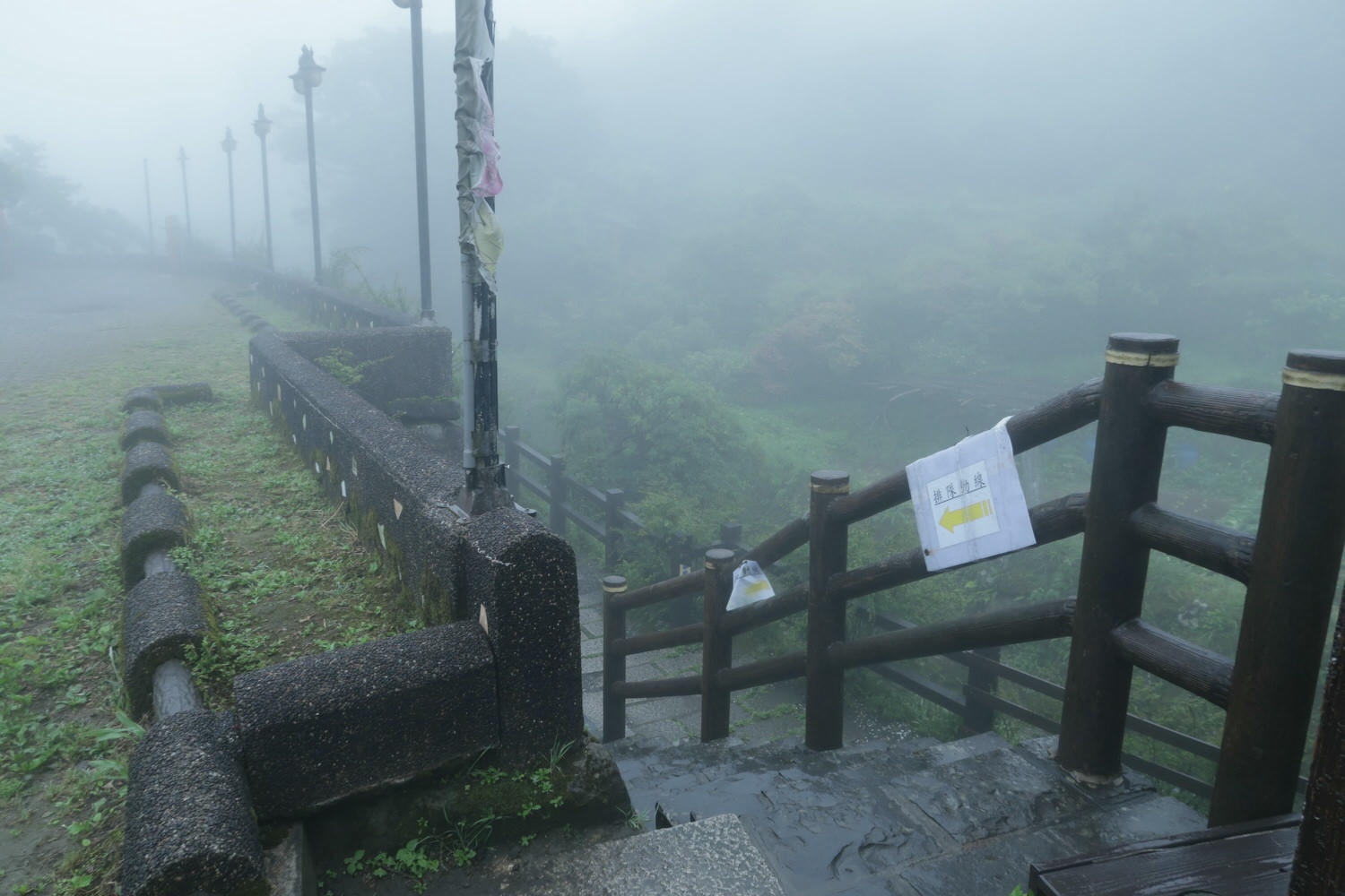(台北賞花)2022春之海芋(瑞美海芋園) 陽明山竹子湖 純白優雅 介紹捷運石牌搭公車 採海芋快來喔!!