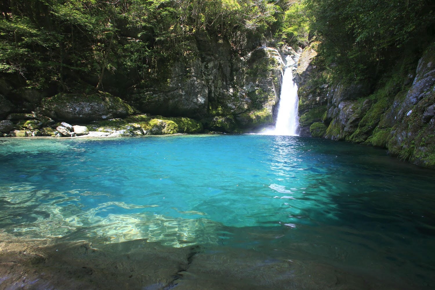日本四國┃高知縣 一訪藍透美清流「仁淀川」 周邊魅力景點(上)
