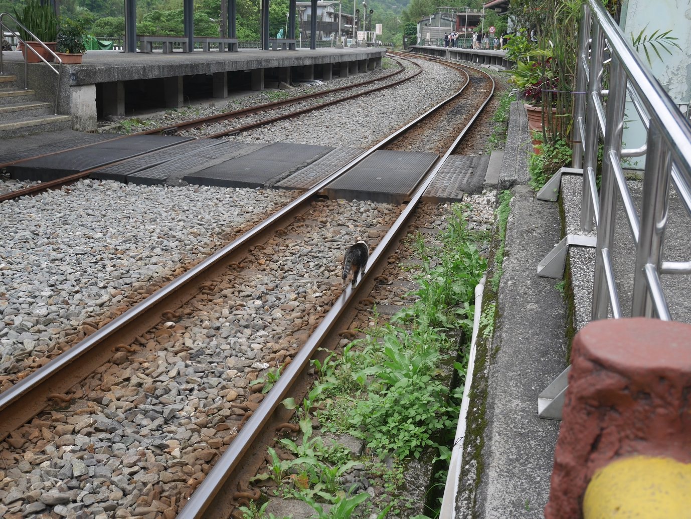 新北東北角︱夜宿車泊醒來就是海 貢寮金沙灣海濱公園+基隆潮境公園+九份 一日行程 媽咪早午餐蔥抓餅讚