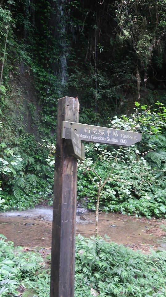 新北爬山┃公車可達 新店銀河洞越嶺登山步道 瀑布仙氣逼人 鵝角格山登頂 走去木柵貓空泡茶 - 第11張圖 新北爬山┃公車可達 新店銀河洞越嶺登山步道 瀑布仙氣逼人 鵝角格山登頂 走去木柵貓空泡茶
