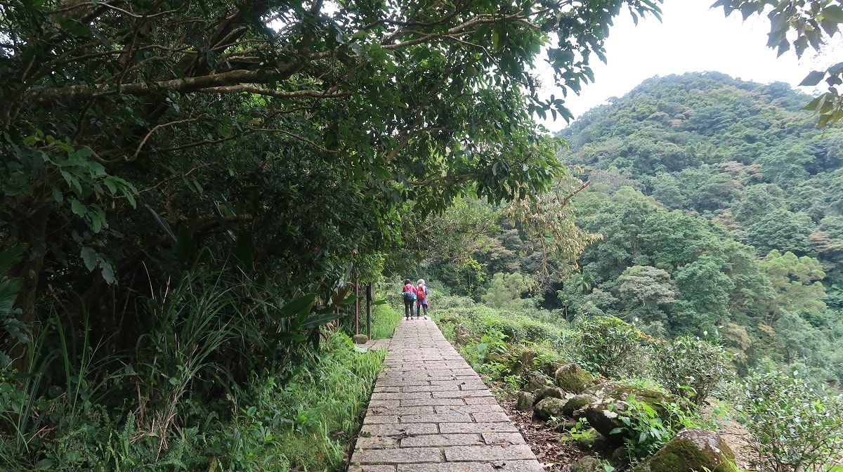 新北爬山┃公車可達 新店銀河洞越嶺登山步道 瀑布仙氣逼人 鵝角格山登頂 走去木柵貓空泡茶 - 第13張圖 新北爬山┃公車可達 新店銀河洞越嶺登山步道 瀑布仙氣逼人 鵝角格山登頂 走去木柵貓空泡茶