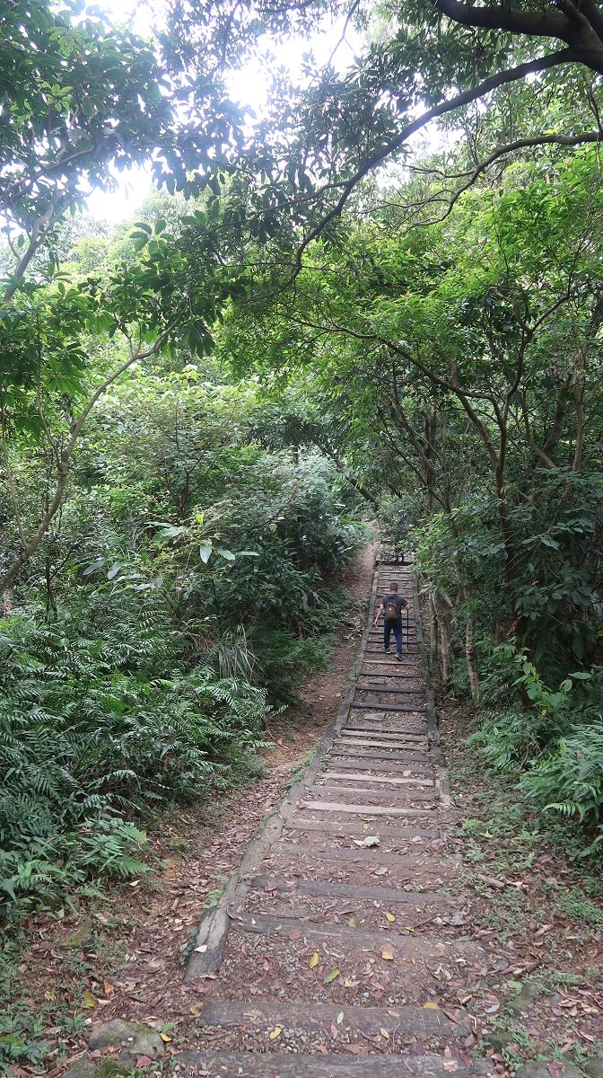 新北爬山┃公車可達 新店銀河洞越嶺登山步道 瀑布仙氣逼人 鵝角格山登頂 走去木柵貓空泡茶 - 第16張圖 新北爬山┃公車可達 新店銀河洞越嶺登山步道 瀑布仙氣逼人 鵝角格山登頂 走去木柵貓空泡茶