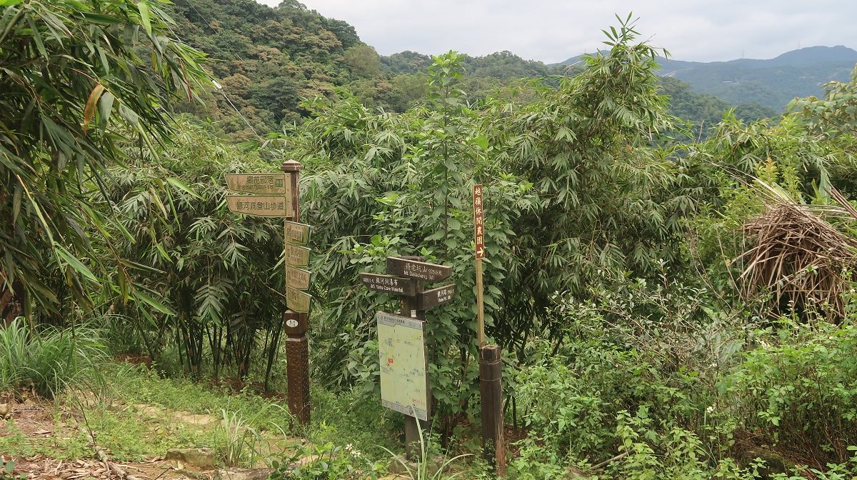 新北爬山┃公車可達 新店銀河洞越嶺登山步道 瀑布仙氣逼人 鵝角格山登頂 走去木柵貓空泡茶 - 第20張圖 新北爬山┃公車可達 新店銀河洞越嶺登山步道 瀑布仙氣逼人 鵝角格山登頂 走去木柵貓空泡茶