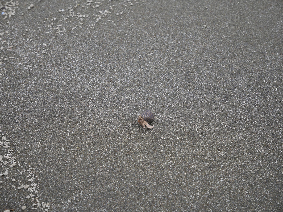 台東成功︱台東東海岸天空之鏡 巴茲風岸(都歷沙灘) 一日行程這樣排 順路吃東河包子 天天向上水往上流 - 第27張圖 台東成功︱台東東海岸天空之鏡 巴茲風岸(都歷沙灘) 一日行程這樣排 順路吃東河包子 天天向上水往上流