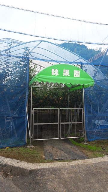 日本山陰山陽︱我愛的鳥取 三小時計程車2000日幣 白兔神社祈求結緣 砂丘滑砂板好玩 和牛火鍋 砂場咖啡