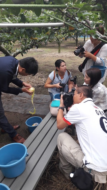 日本山陰山陽︱我愛的鳥取 三小時計程車2000日幣 白兔神社祈求結緣 砂丘滑砂板好玩 和牛火鍋 砂場咖啡