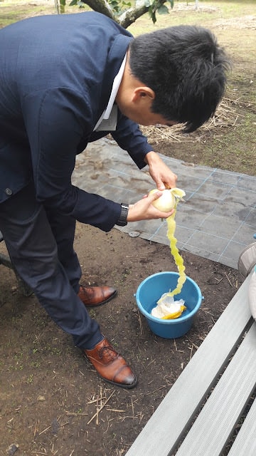 日本山陰山陽︱我愛的鳥取 三小時計程車2000日幣 白兔神社祈求結緣 砂丘滑砂板好玩 和牛火鍋 砂場咖啡