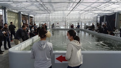 日本四國┃德島縣鳴門二日遊（百年酒造、醬油藏、大谷燒、藍染）