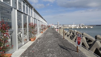 日本四國┃德島縣鳴門二日遊（百年酒造、醬油藏、大谷燒、藍染）