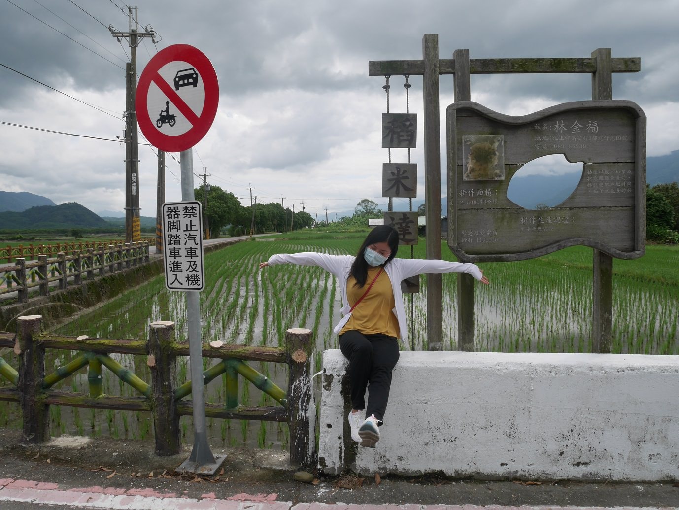 台東二大道︱一日行程 面山面海 長濱金剛大道+池上伯朗大道  金城武樹排隊也要拍 一次收集