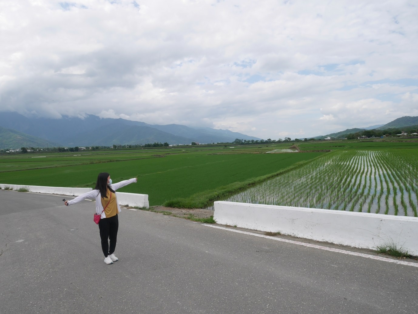 台東二大道︱一日行程 面山面海 長濱金剛大道+池上伯朗大道  金城武樹排隊也要拍 一次收集