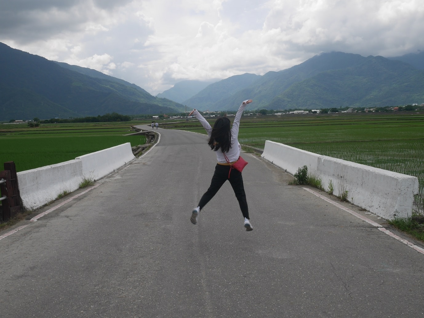 台東二大道︱一日行程 面山面海 長濱金剛大道+池上伯朗大道  金城武樹排隊也要拍 一次收集