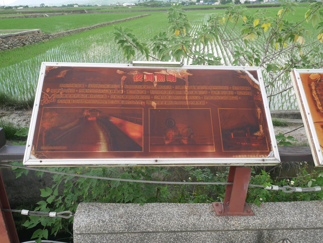 台東二大道︱一日行程 面山面海 長濱金剛大道+池上伯朗大道  金城武樹排隊也要拍 一次收集