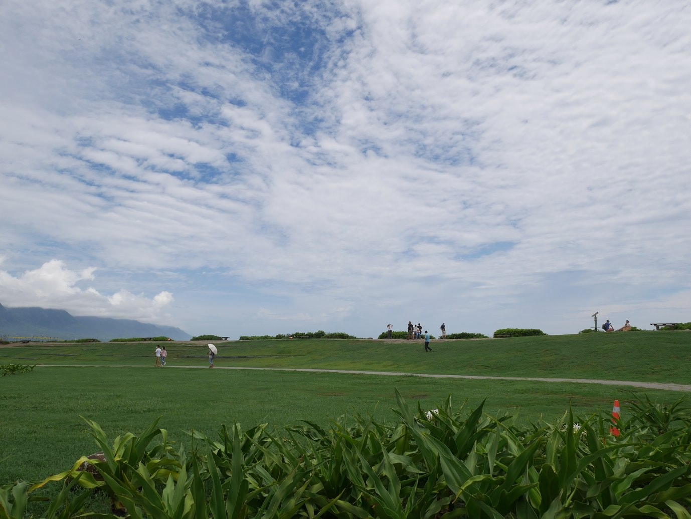 台東市區︱一日免門票行程 台東海濱公園+加路蘭海岸+太麻里櫻木花道平交道 拍好拍滿 超實在一日遊
