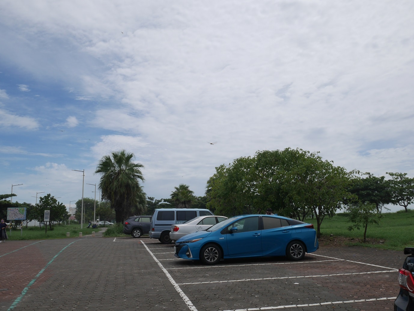 台東市區︱一日免門票行程 台東海濱公園+加路蘭海岸+太麻里櫻木花道平交道 拍好拍滿 超實在一日遊
